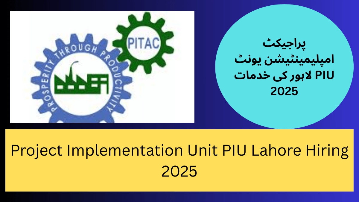 Latest Pakistan Industrial Technical Assistance Center Jobs 2025