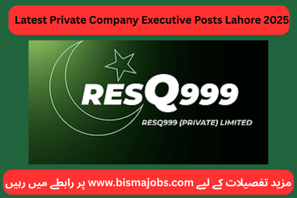 Latest Private Company Executive Posts Lahore 2025