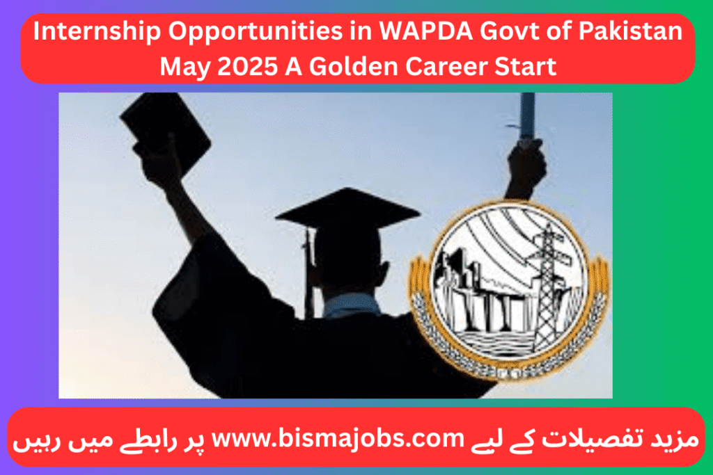 Internship Opportunities in WAPDA Govt of Pakistan May 2025 A Golden Career Start