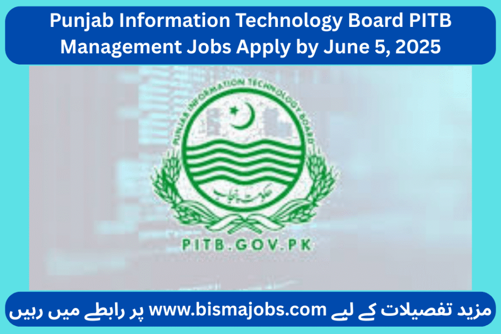 Punjab Information Technology Board PITB Management Jobs Apply by June 5, 2025
