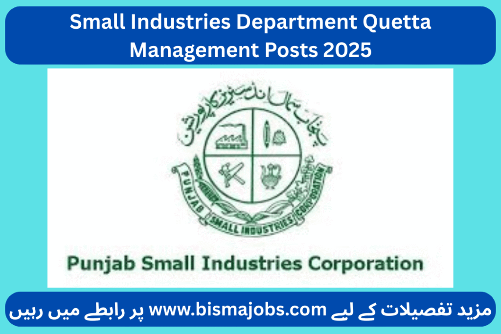 Small Industries Department Quetta Management Posts 2025