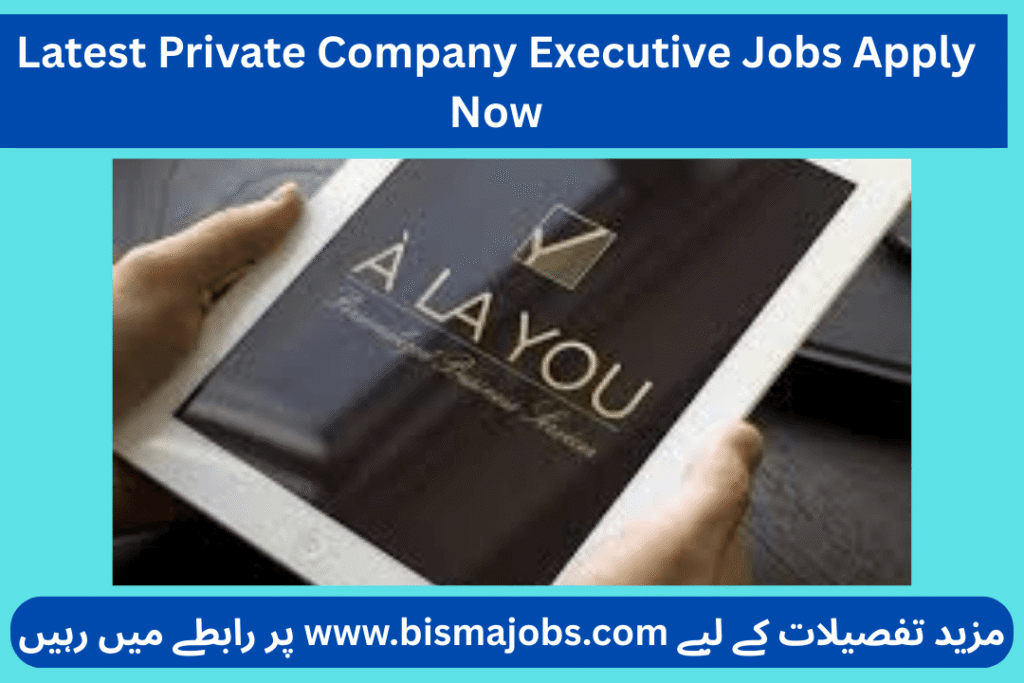 Latest Private Company Executive Jobs Apply Now
